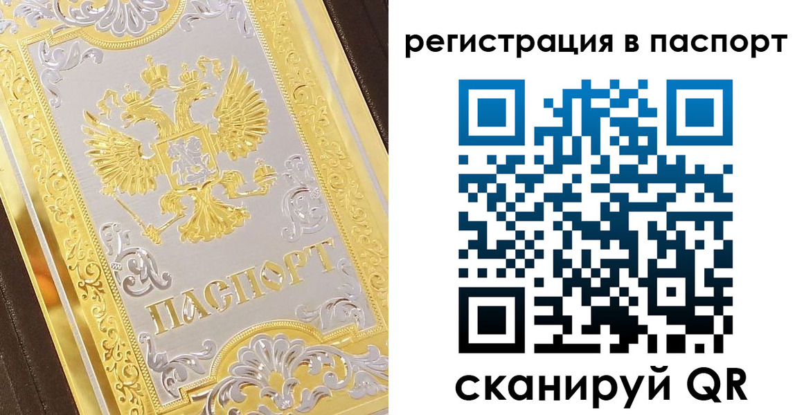 прописка 2025 в Солнечногорске